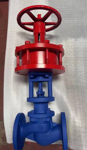 波紋管閥門產(chǎn)品展示