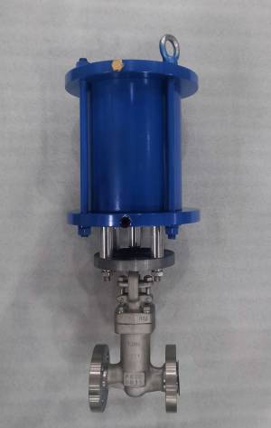 波紋管閥門產(chǎn)品展示